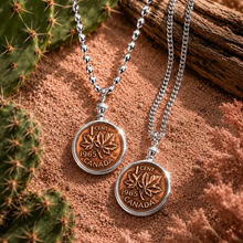 Load image into Gallery viewer, ••NEW•• **silver** PENNIES FROM HEAVEN ✨NECKLACE