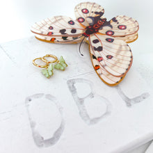 Load image into Gallery viewer, COLORFUL  BUTTERFLY HOOP ⫸Earrings
